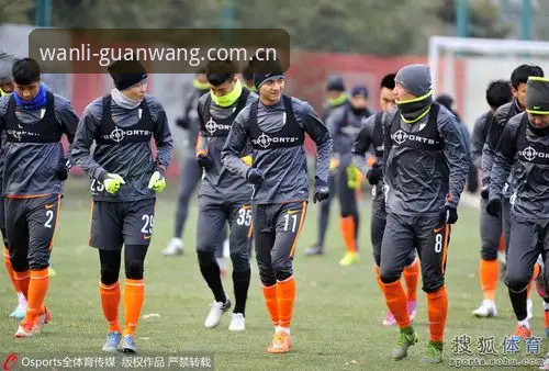 万利体育平台实战指南：快速锁定官网入口与核心玩法详解
